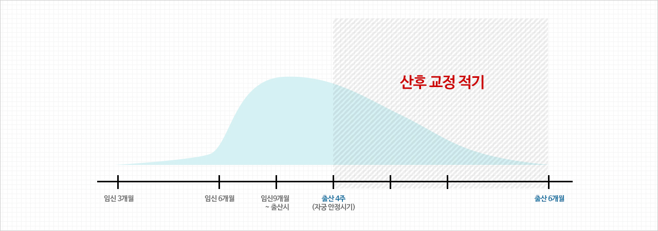 그래프