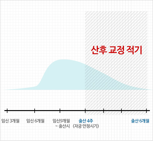 그래프